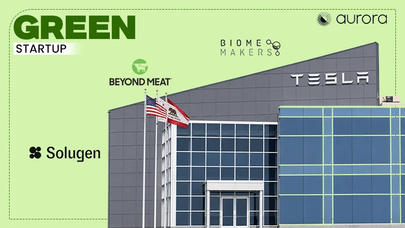 green startup company