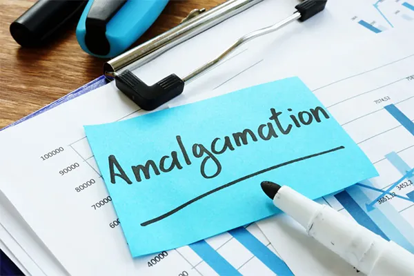 what is Amalgamation